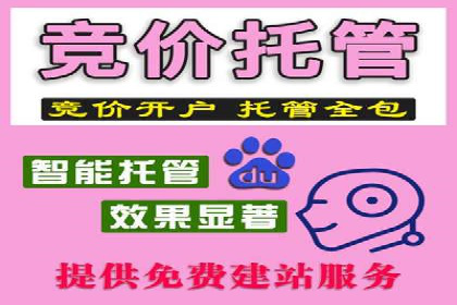 案例揭秘：信息流广告代运营公司的成功之路